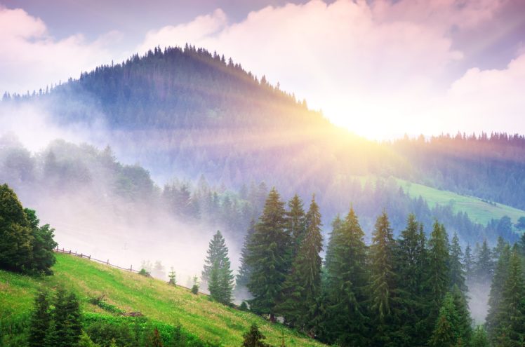 scenery, Mountains, Sunrises, And, Sunsets, Trees, Nature, Fog, Mist HD Wallpaper Desktop Background