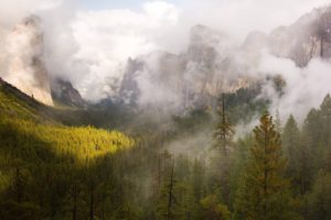 nature, Mountains, Forest, Clouds, Fog