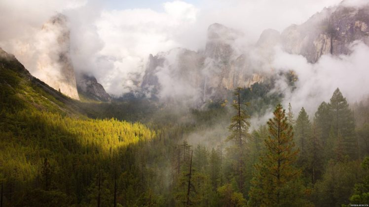nature, Mountains, Forest, Clouds, Fog HD Wallpaper Desktop Background