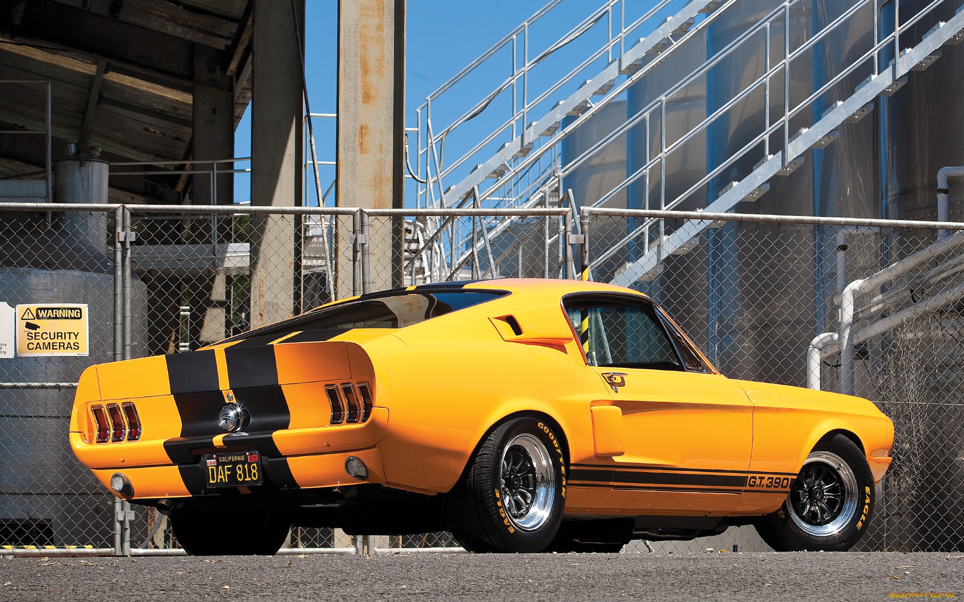 ford, Maustang, Muscle, Cars, Yellow Wallpaper