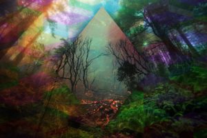 abstraction, Line, Color, Forest, Trees, Fantasy, Fire, Flames, Dark, Mood, Artwork, Art, Photoshop, Psychedelic