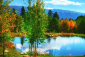 colorado, Pond, Pond, Autumn, Trees, Landscape, Lake