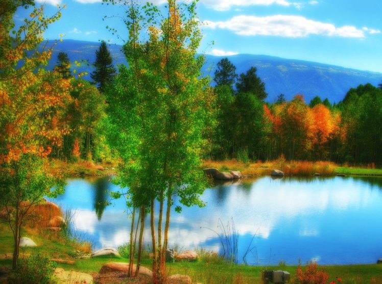 colorado, Pond, Pond, Autumn, Trees, Landscape, Lake HD Wallpaper Desktop Background