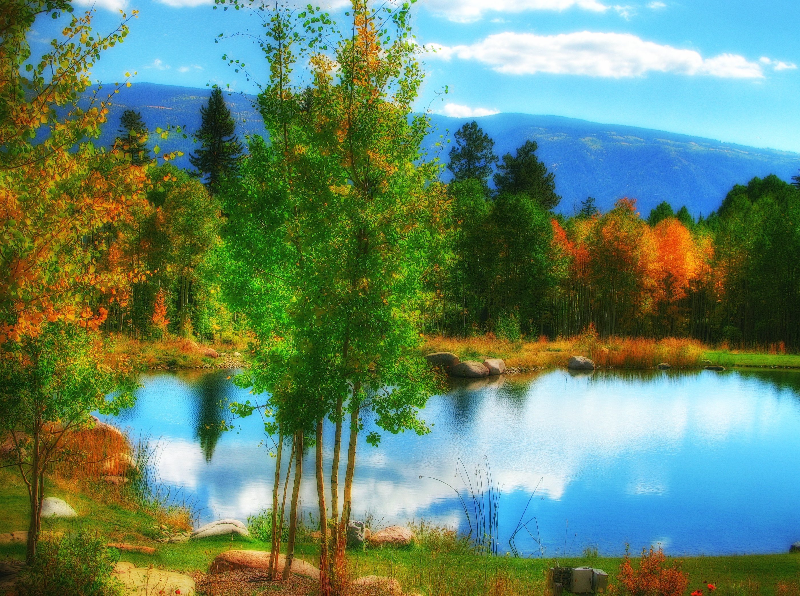 colorado, Pond, Pond, Autumn, Trees, Landscape, Lake Wallpaper