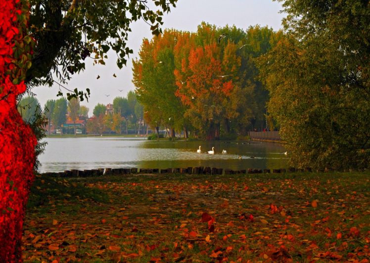 lake, Italy, Lombardy, Mantua, Nature, Autumn, Foliage, Photo HD Wallpaper Desktop Background
