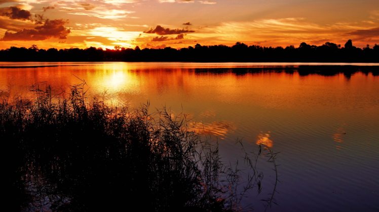 sunset, Lake, Grass, Night, Silhouette, Beach, Clouds, Reflection HD Wallpaper Desktop Background