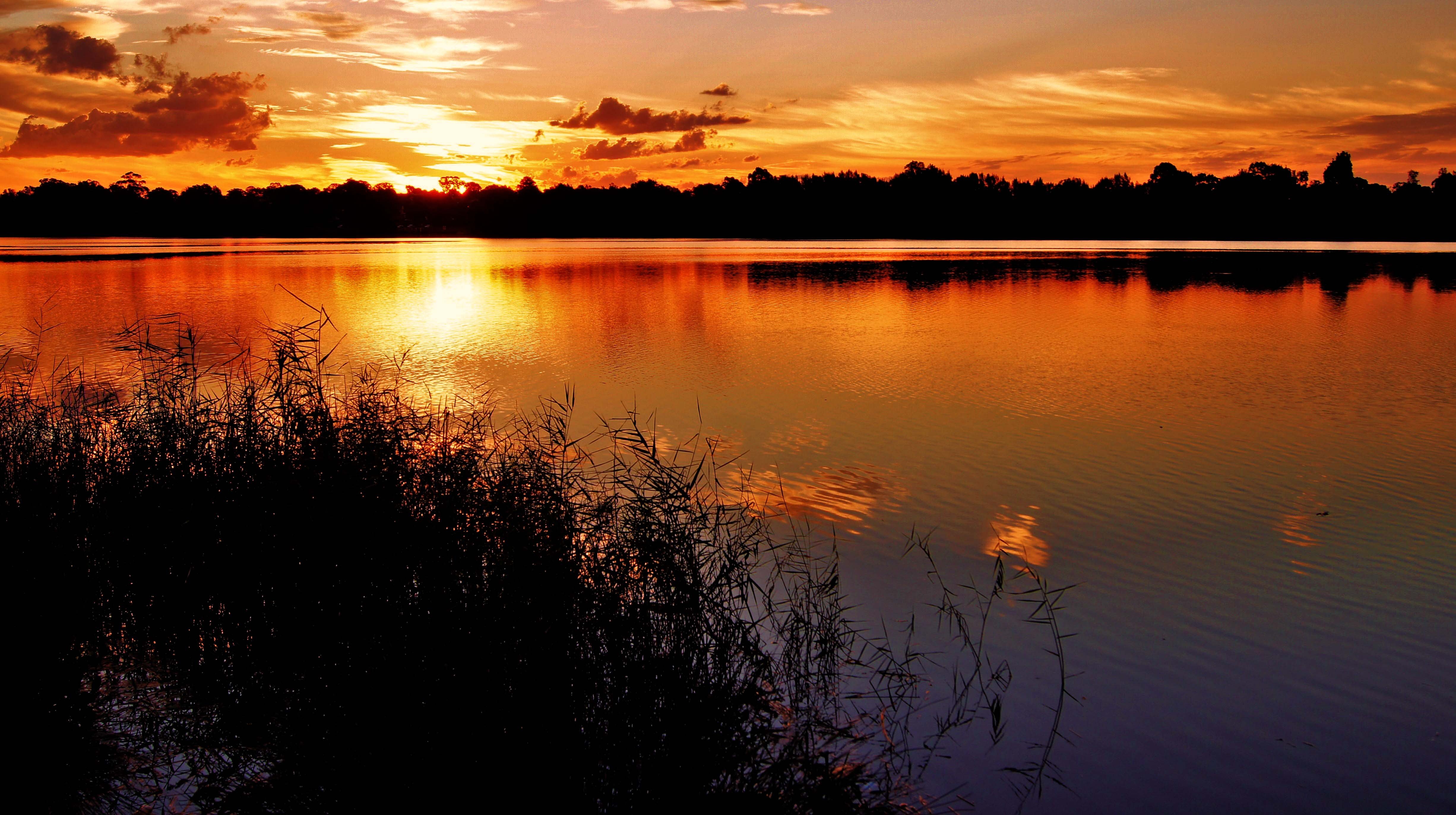 sunset, Lake, Grass, Night, Silhouette, Beach, Clouds, Reflection Wallpaper