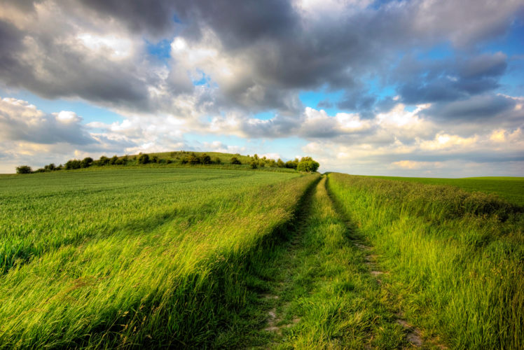 grass, Nature, Landscapes, Fields, Sky, Clouds, Roads, Trail, Path HD Wallpaper Desktop Background
