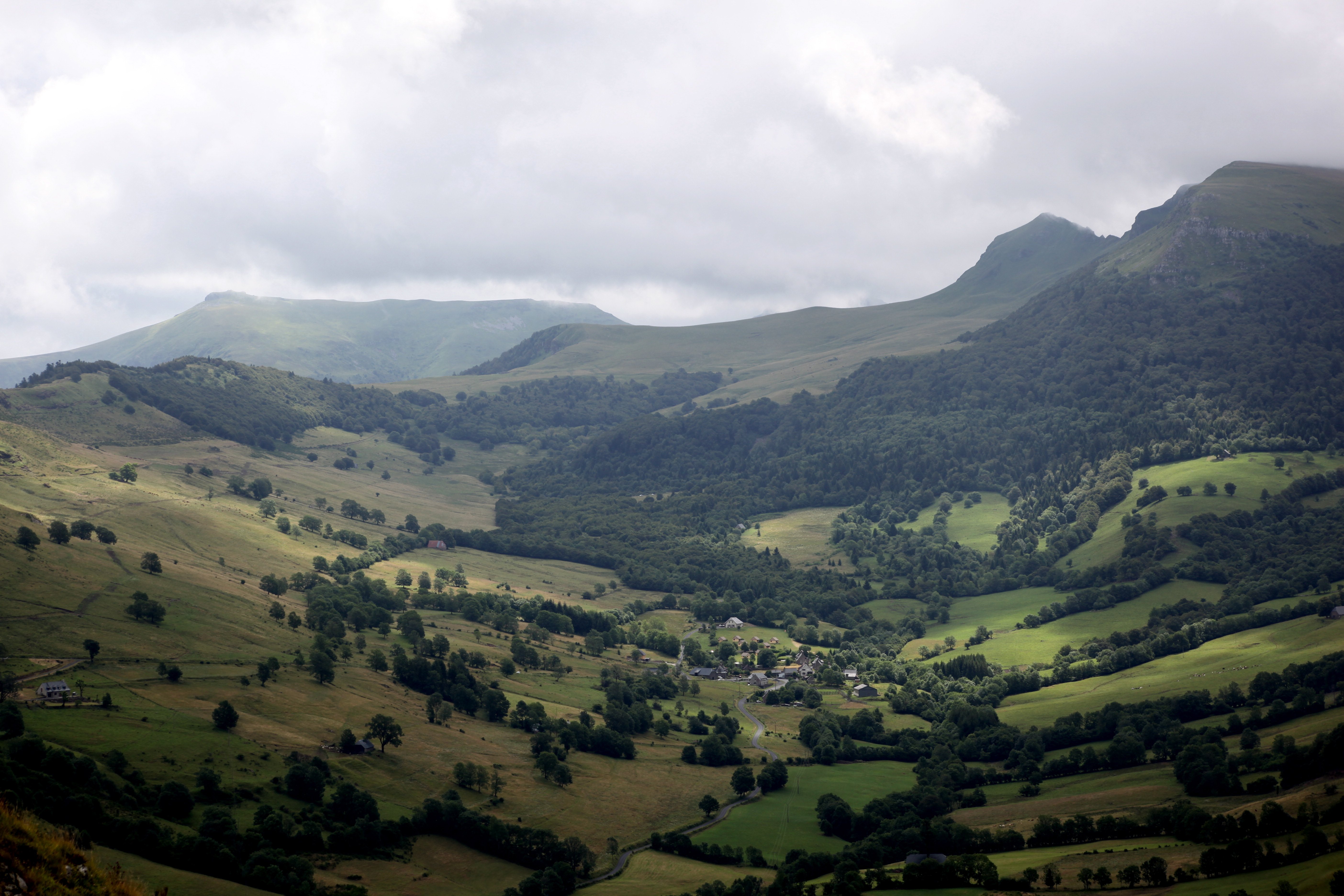 nature, Wallpaper Wallpaper