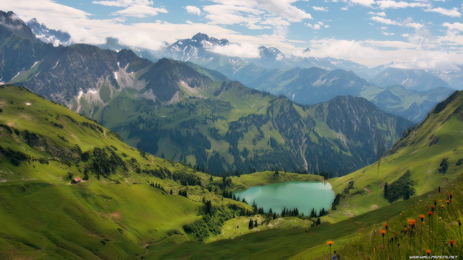 nature, Wallpaper Wallpaper