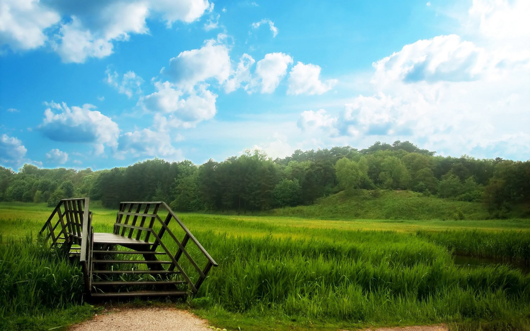 nature, Wallpaper Wallpaper