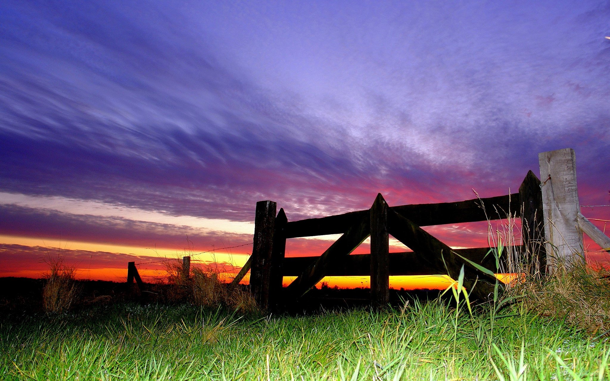 nature, Wallpaper Wallpaper