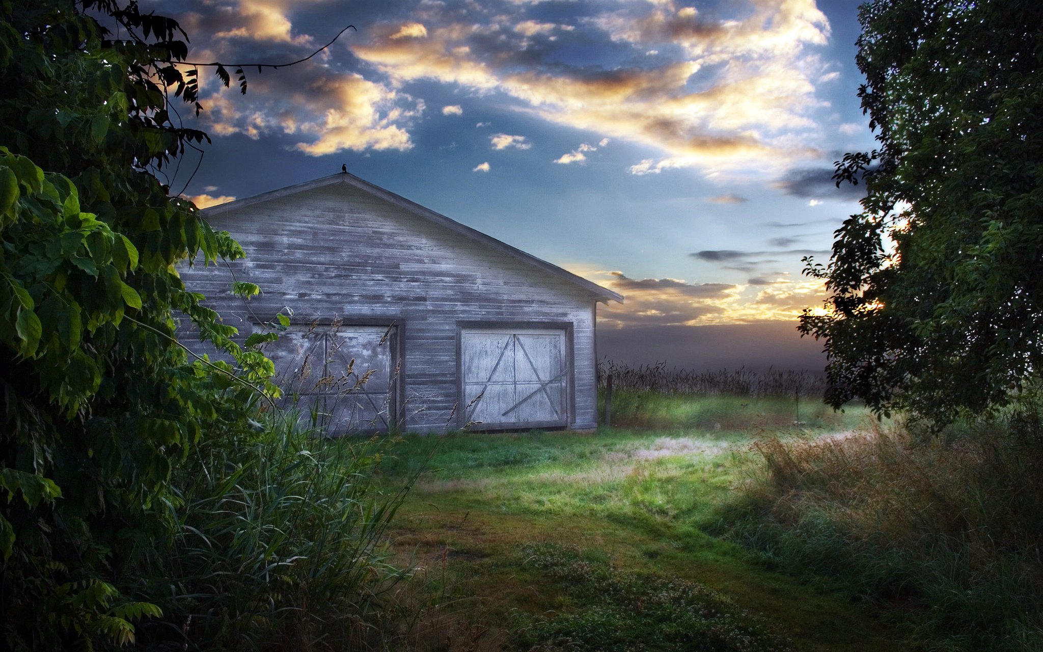 nature, Wallpaper Wallpaper