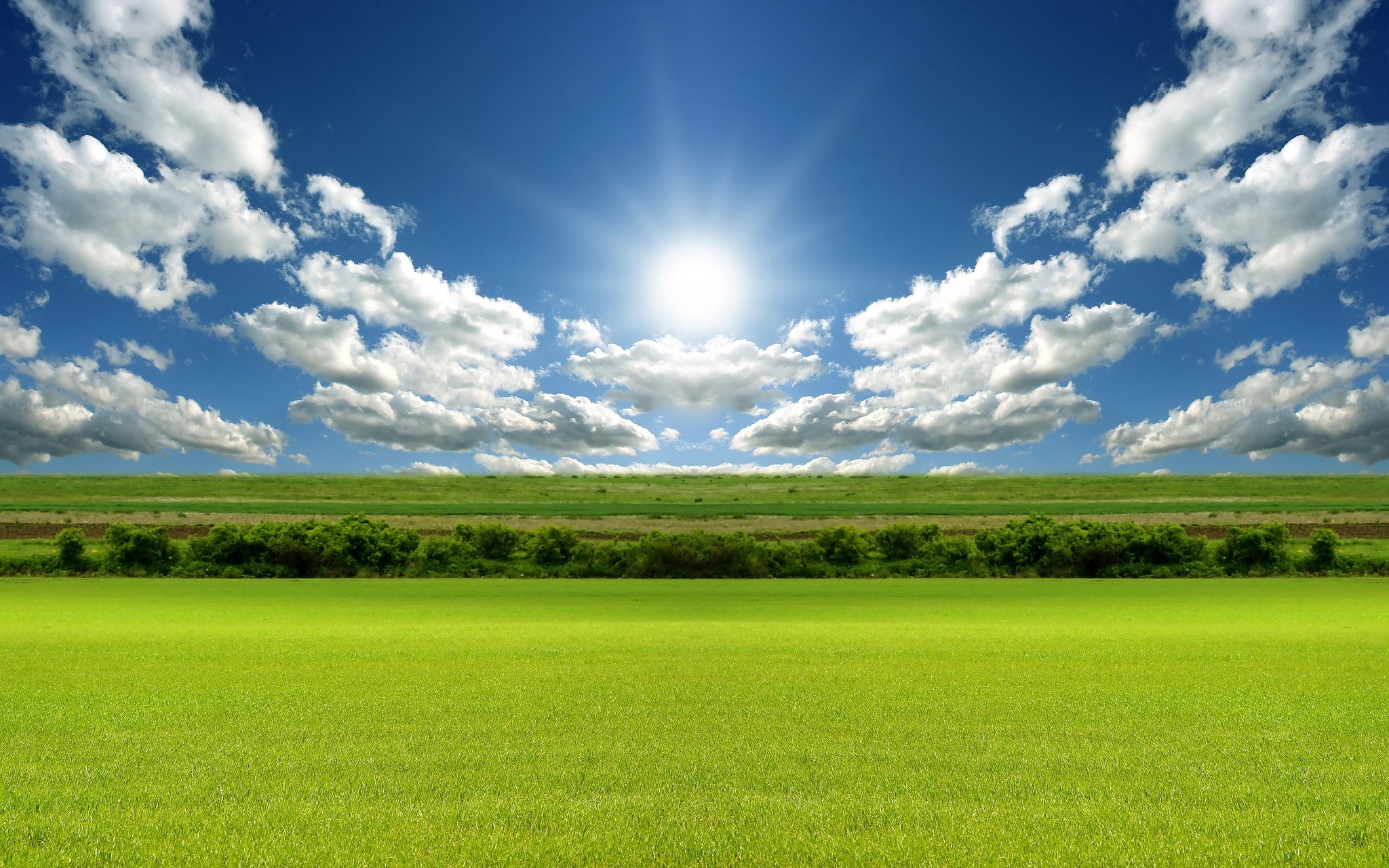 nature, Wallpaper Wallpaper