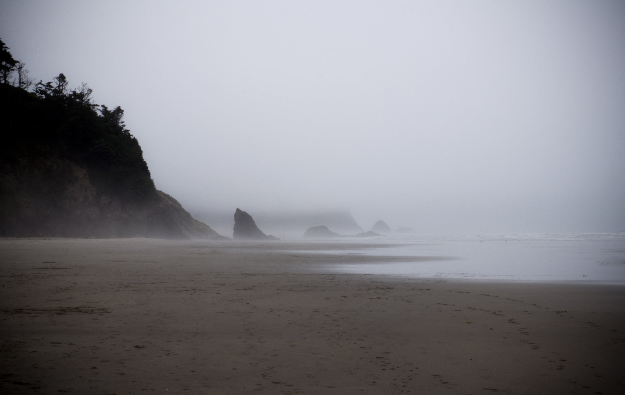 nature, Wallpaper Wallpaper