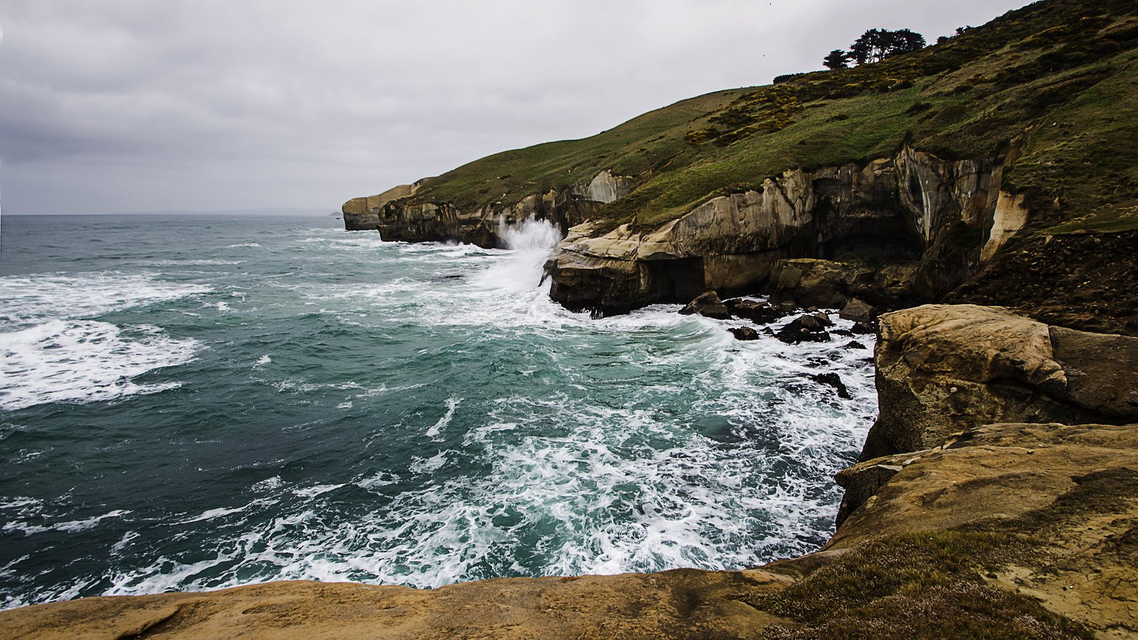 nature, Wallpaper Wallpaper