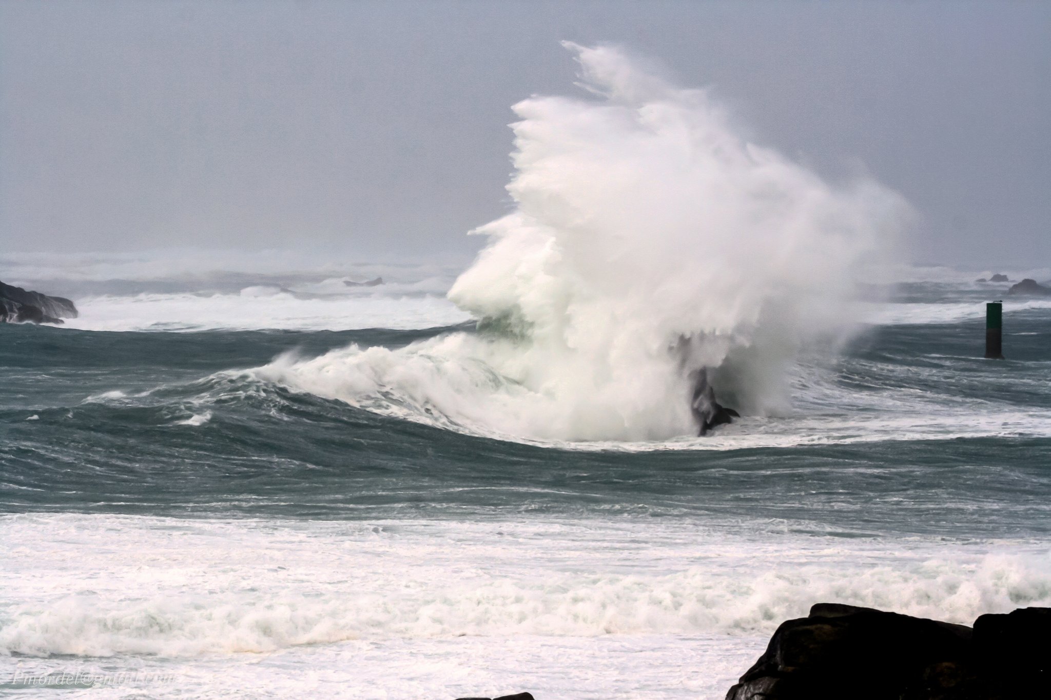 nature, Wallpaper Wallpaper