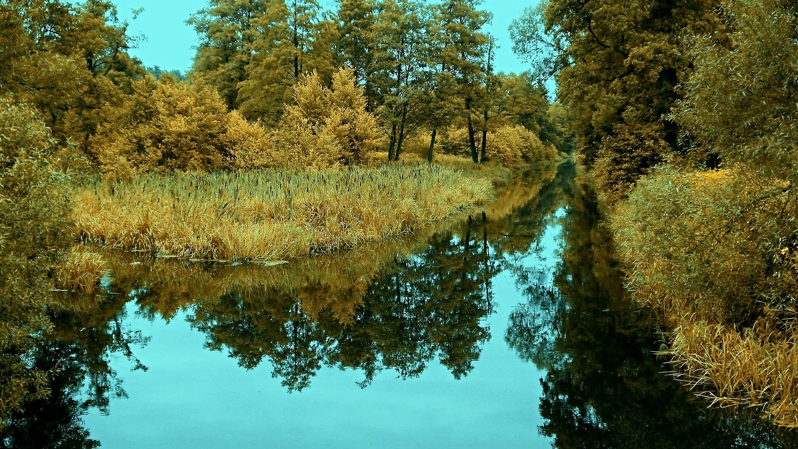 nature, Wallpaper Wallpaper