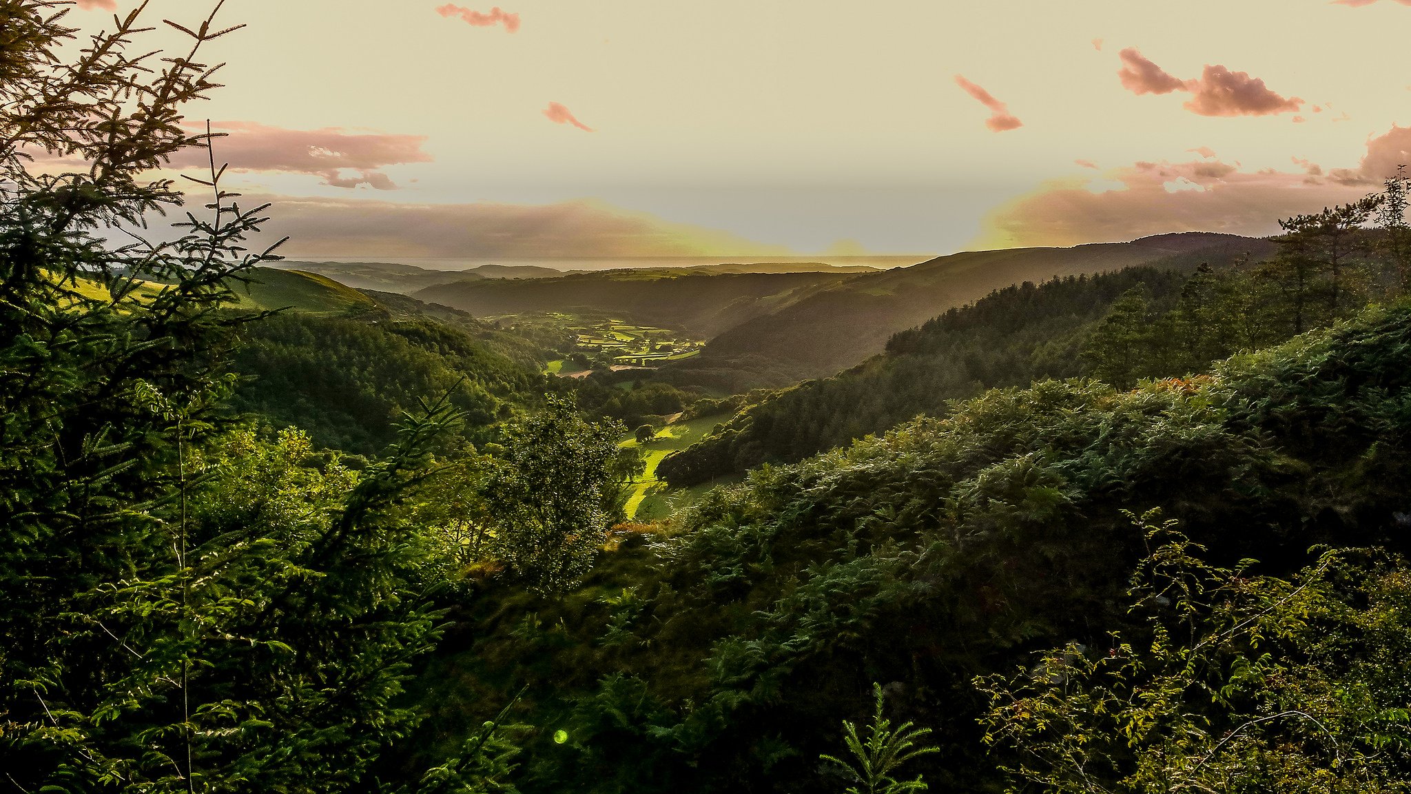 nature, Wallpaper Wallpaper