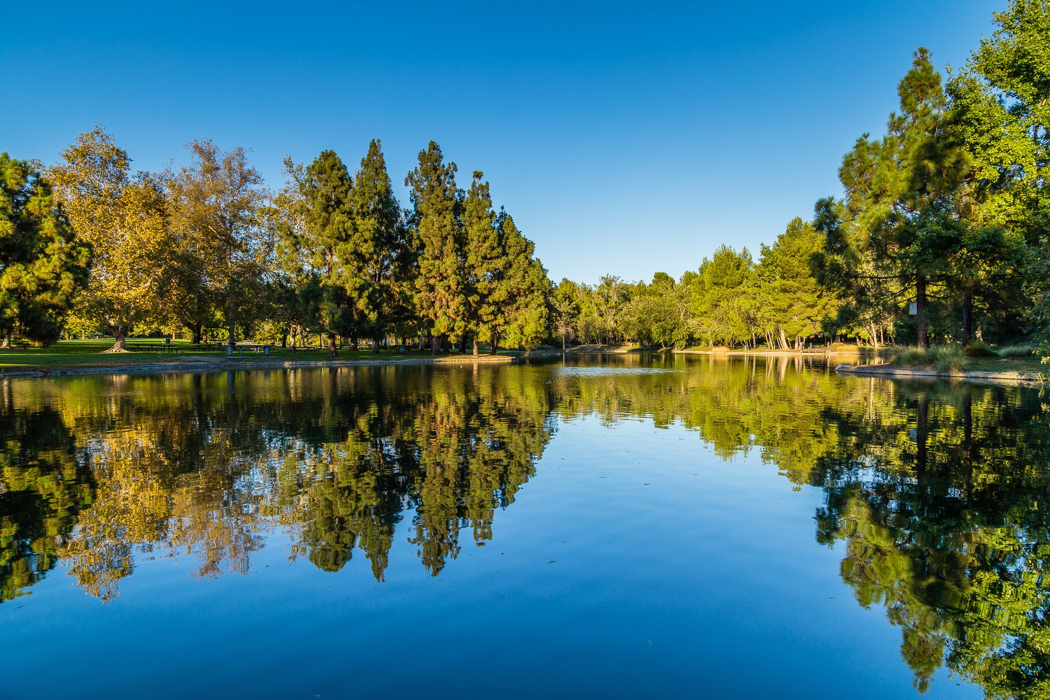 nature, Wallpaper Wallpaper