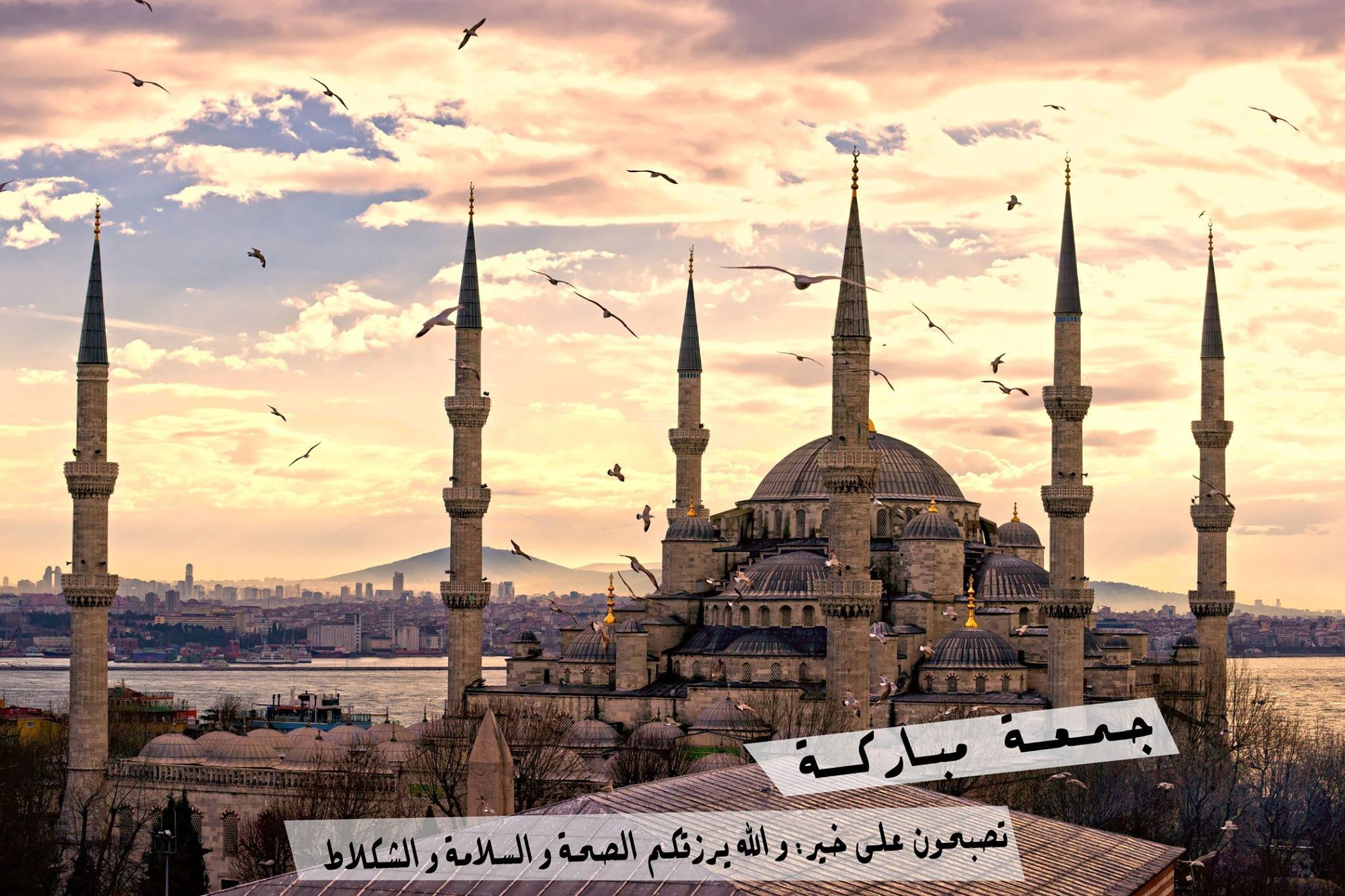 432332 Wallpapers HD / Desktop and Mobile Backgrounds