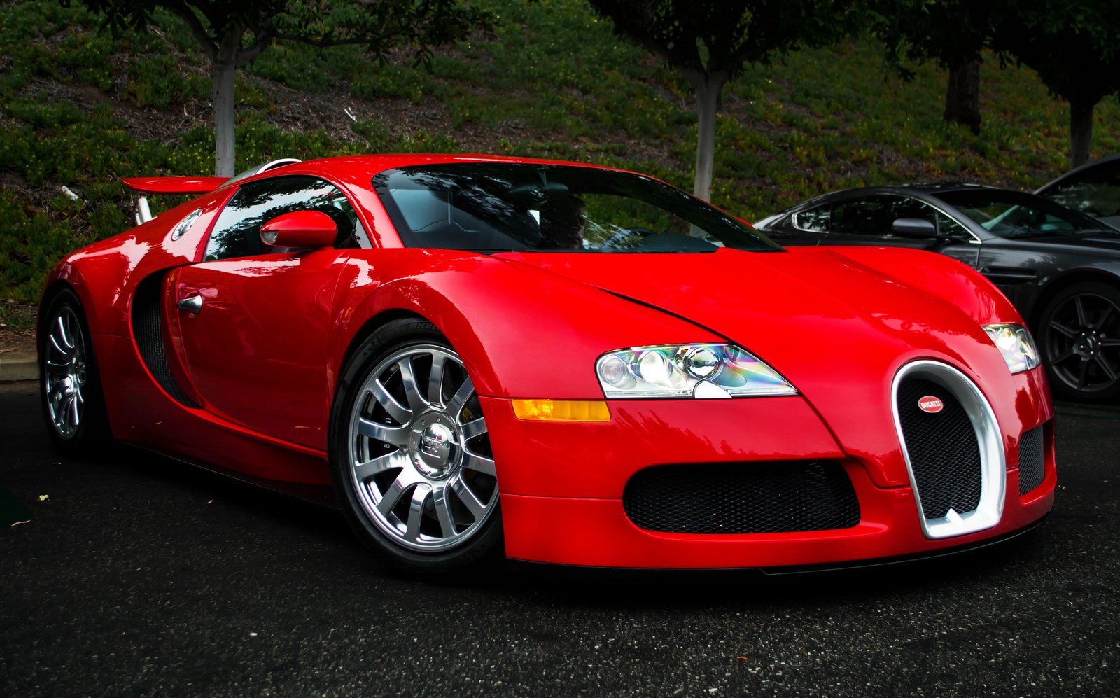 bugatti, Exotic, Supercars, Veyron, Red Wallpapers HD / Desktop and