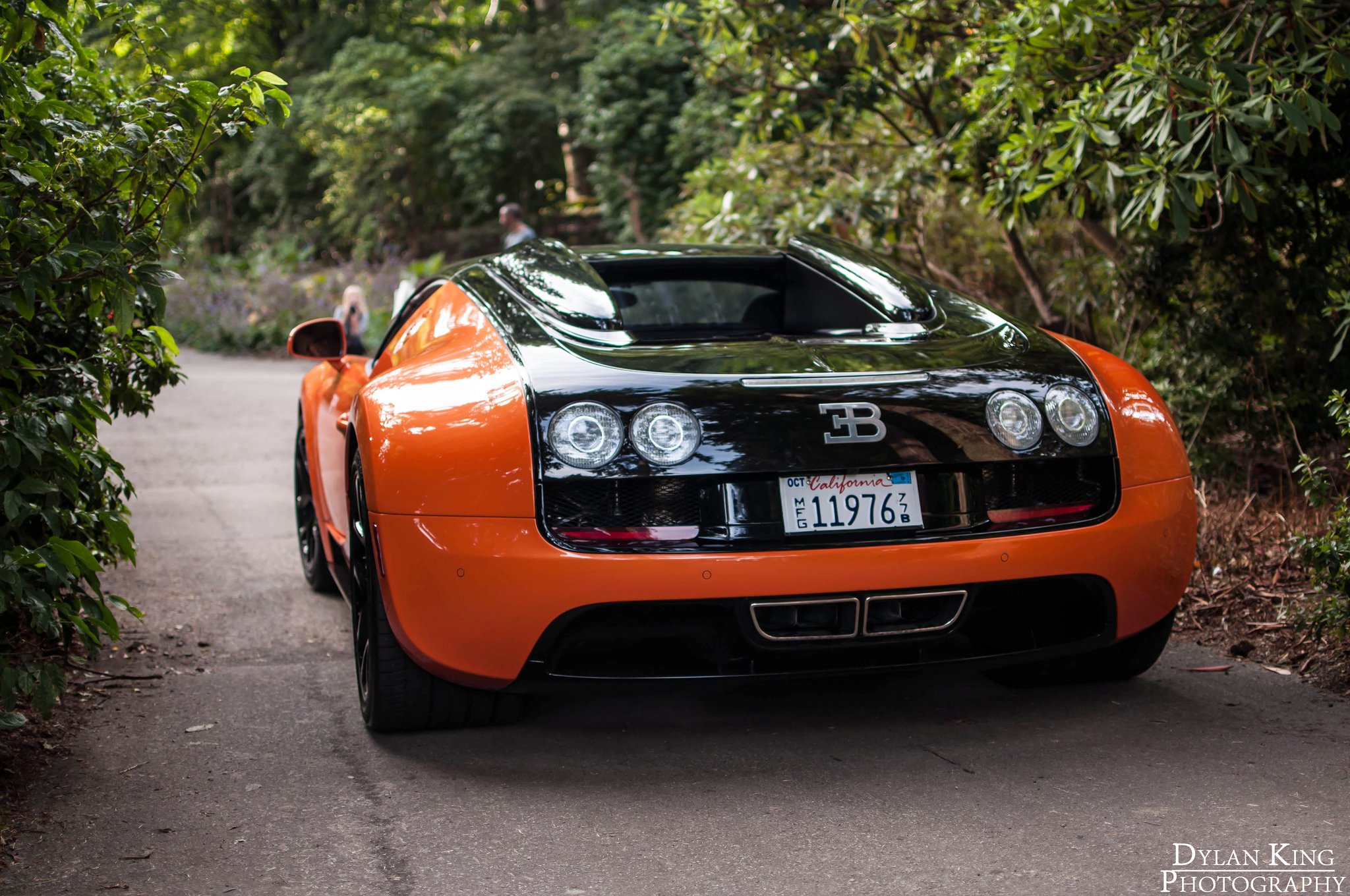 bugatti, Exotic, Supercars, Veyron, Orange Wallpaper