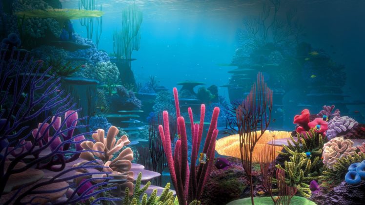 marine, Life, Sea, Ocean, Plants, Under, Water, Creatures, Lifeforms, Colors HD Wallpaper Desktop Background