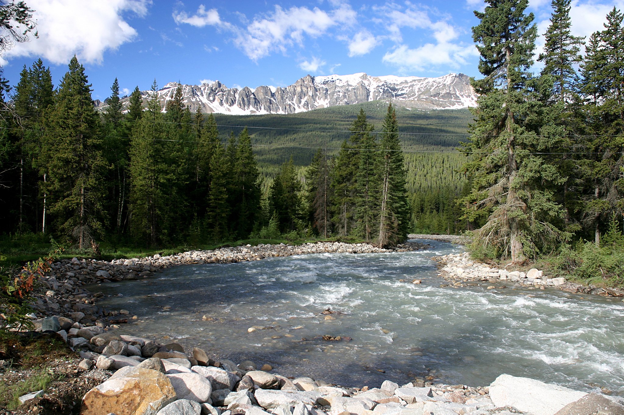 nature, Wallpaper Wallpaper
