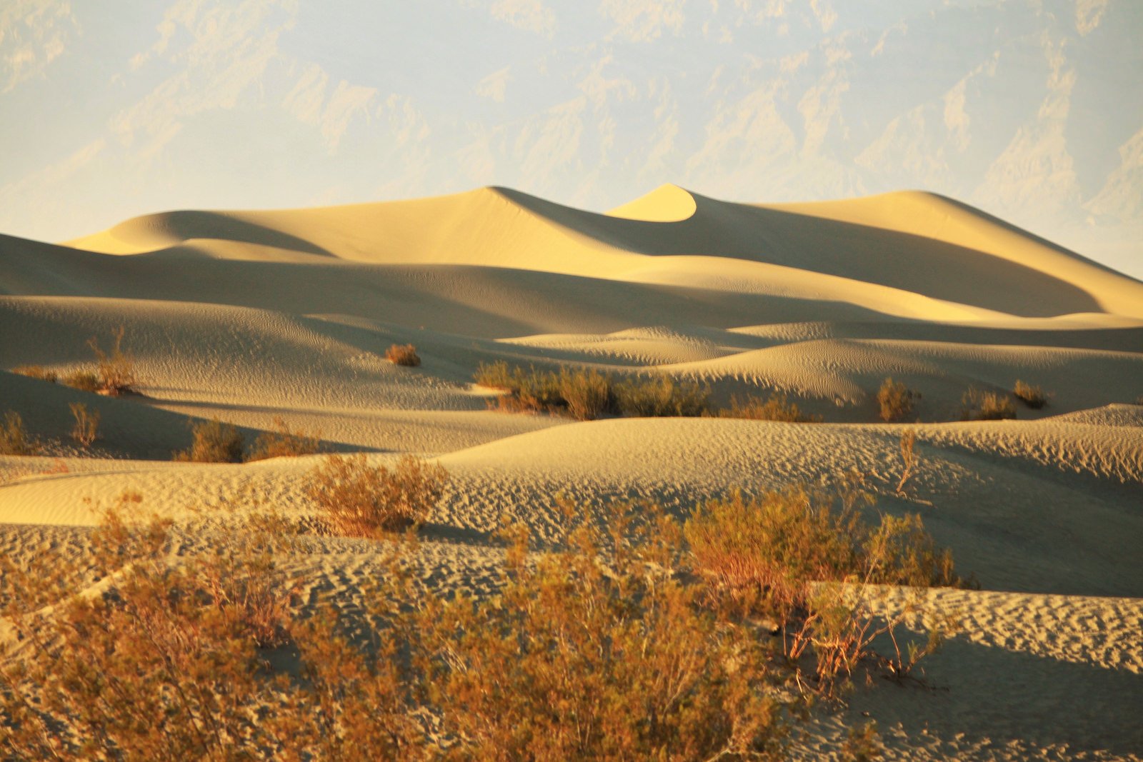 nature, Wallpaper Wallpapers HD / Desktop and Mobile Backgrounds