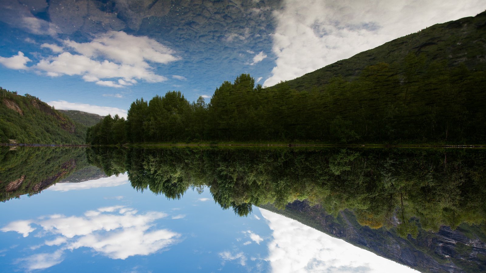 nature, Wallpaper Wallpaper