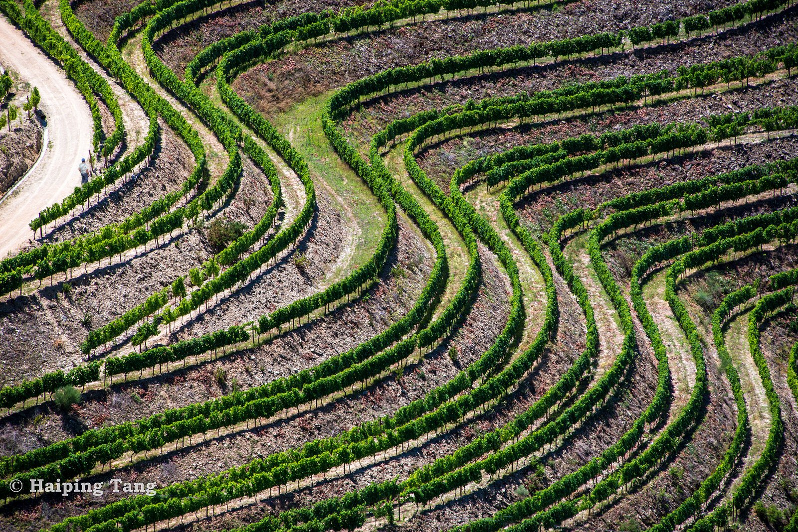 nature, Wallpaper Wallpaper