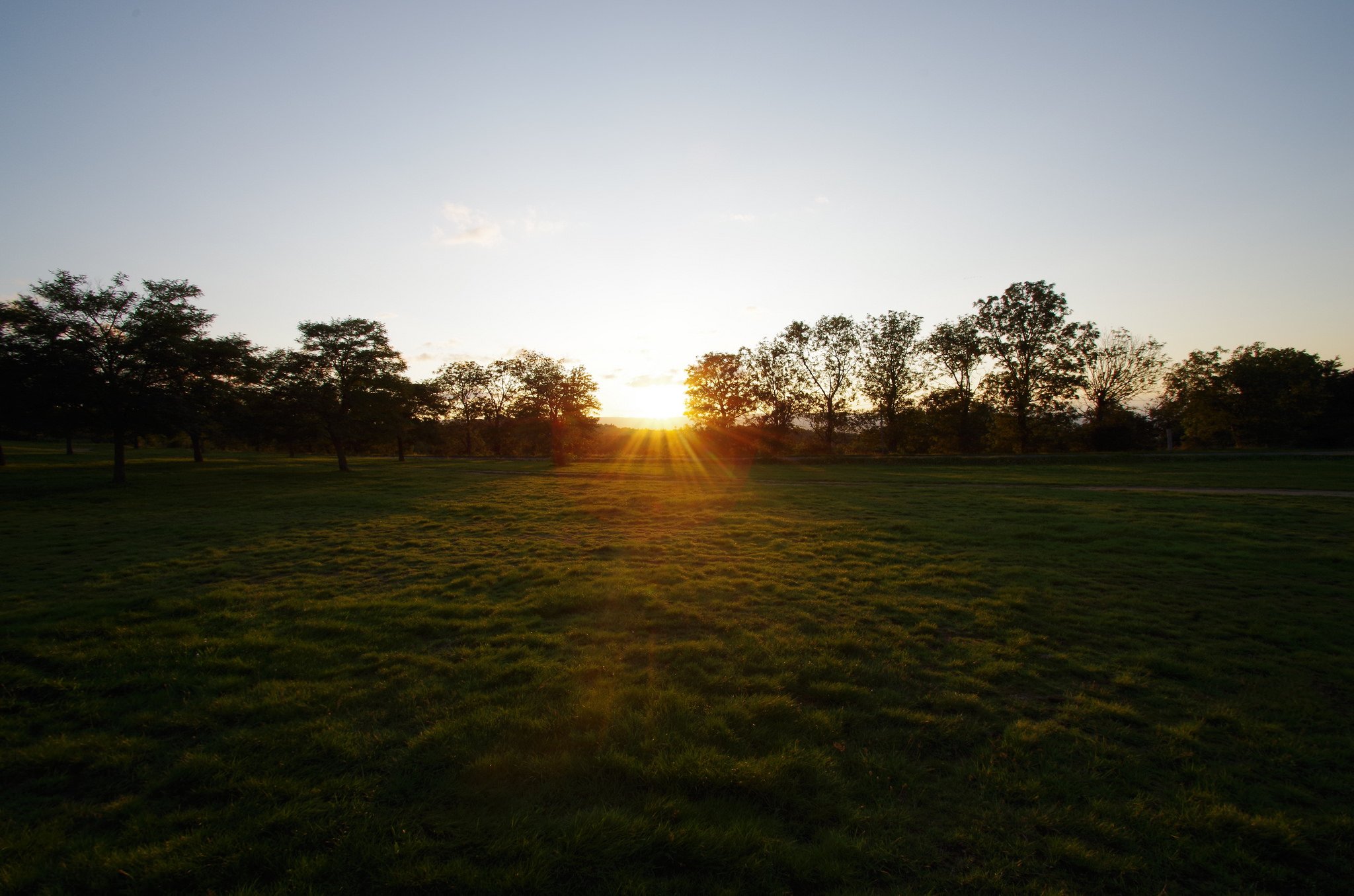 nature, Wallpaper Wallpaper