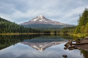 forest, Reflection, Fir, Lake, Mountain, Volcano