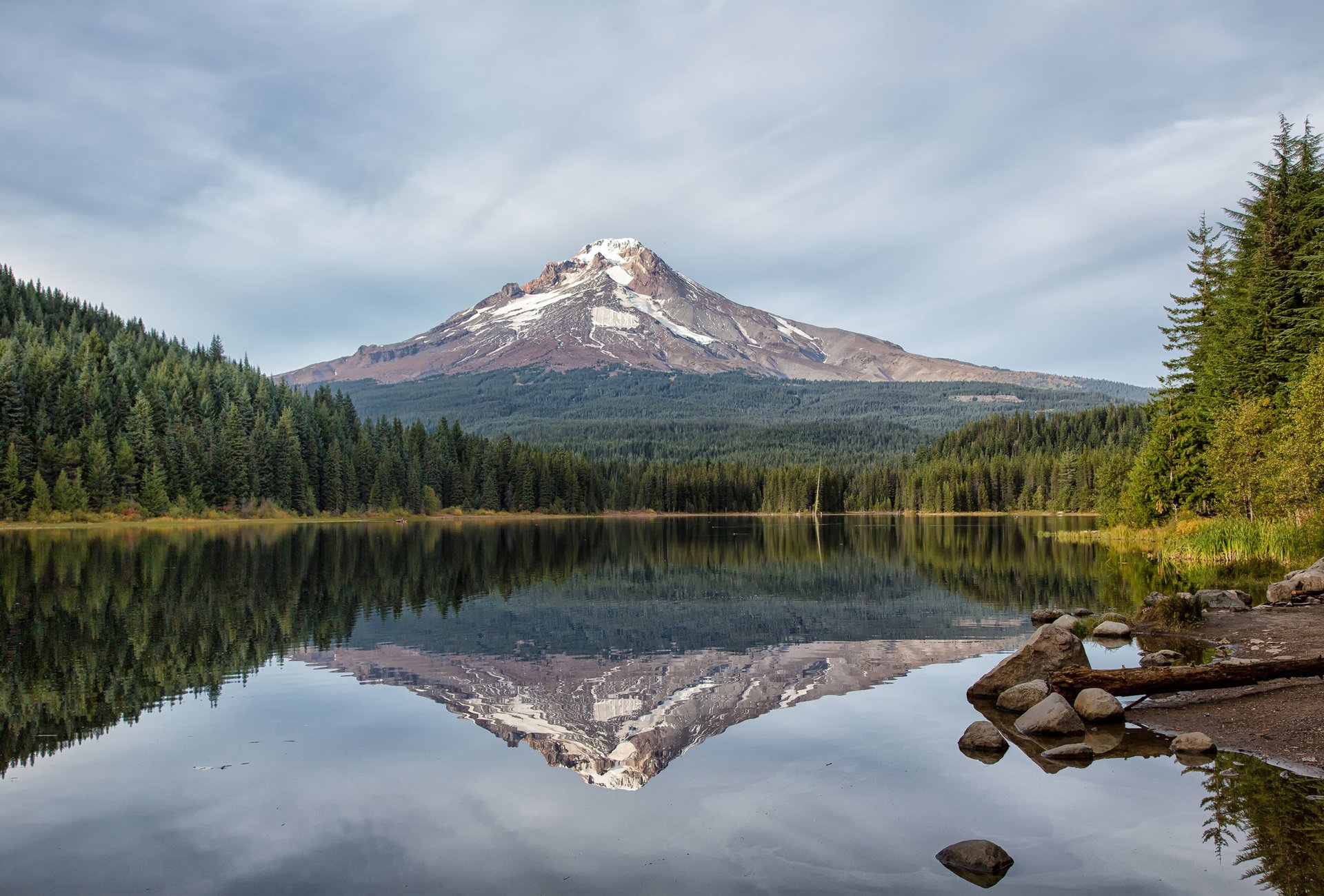 forest, Reflection, Fir, Lake, Mountain, Volcano Wallpaper