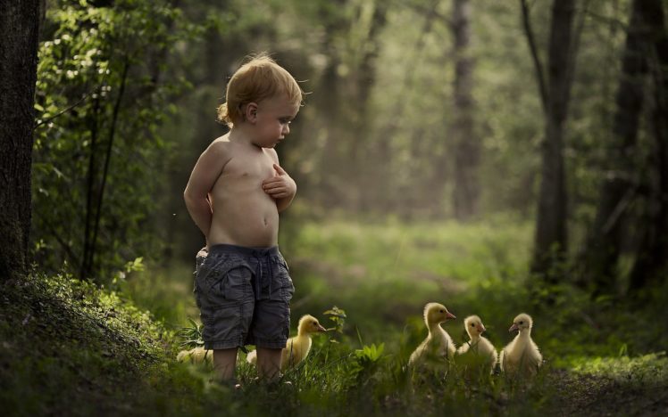 mood, Malchik, Summer, Duck, Baby, Bird, Child, Children, Cute HD Wallpaper Desktop Background