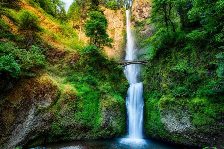 oregon, Usa, Waterfall, River, Stream, Forest, Trees, Bridge, Rock HD Wallpaper Desktop Background