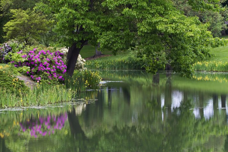 park, Pond, Trees, Flowers, Garden, Lake, Reflection HD Wallpaper Desktop Background
