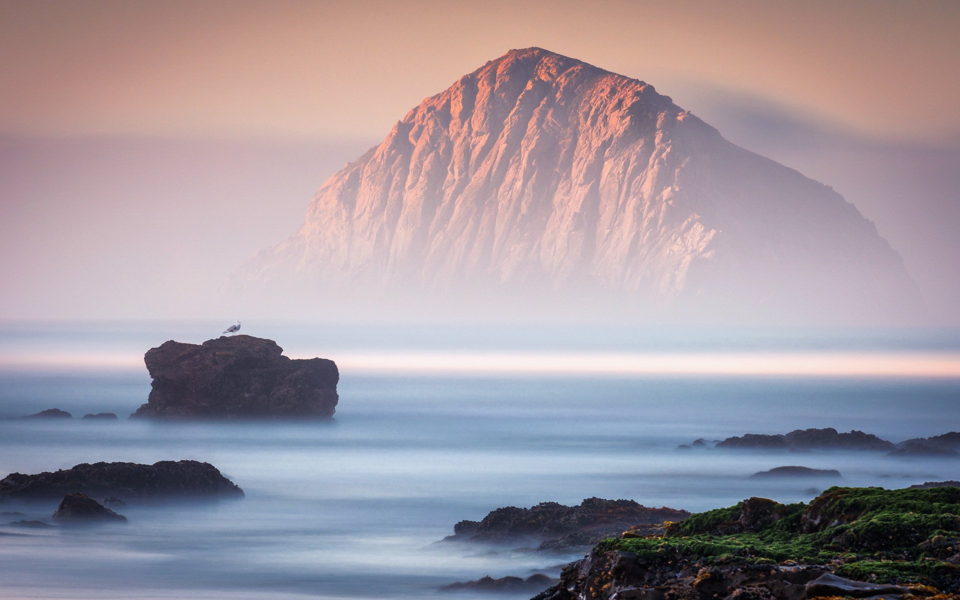 rocks, Sea, Fog, Bird, Landscape, Ocean, Beach, Mist, Mood Wallpaper