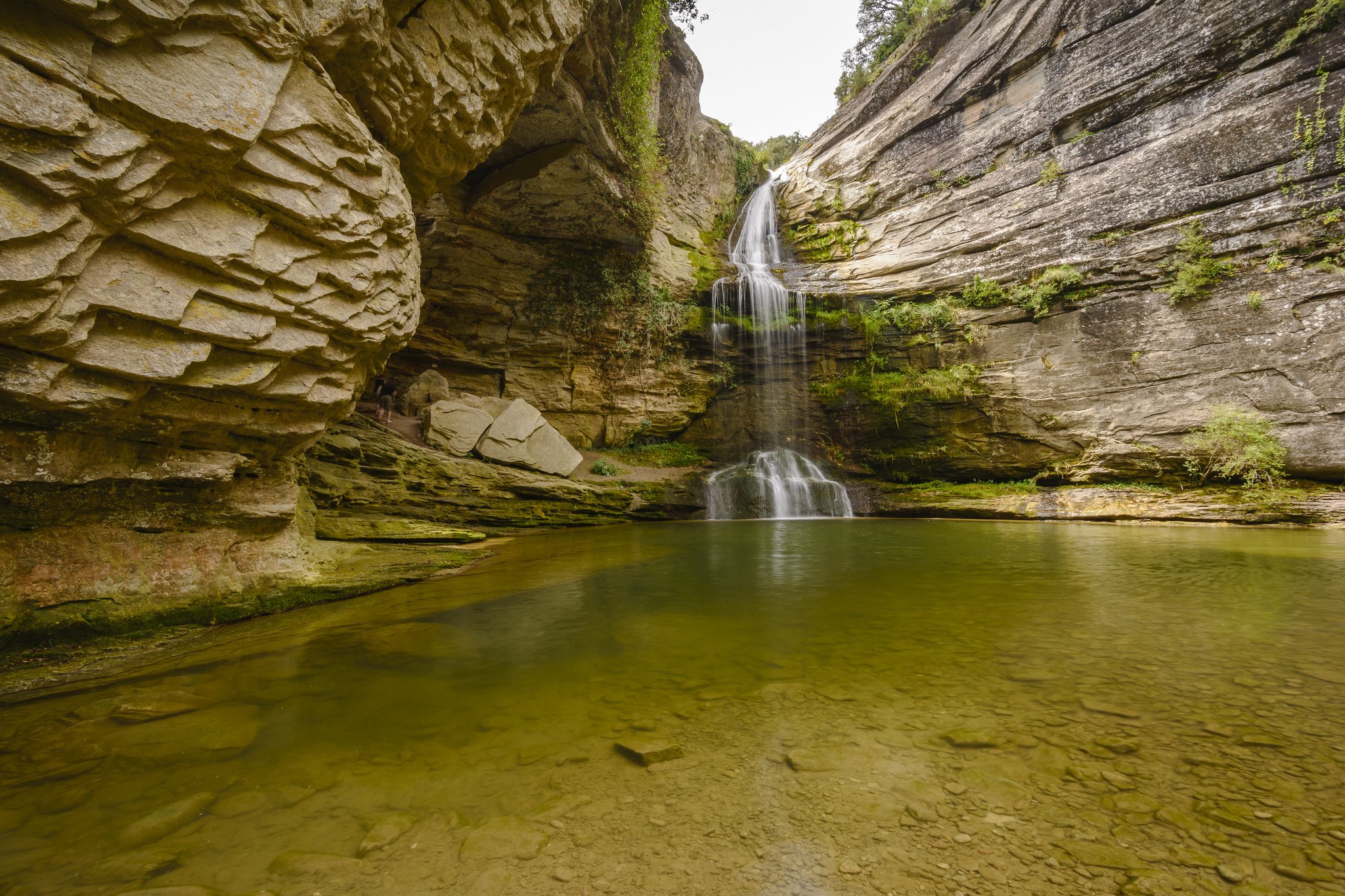 nature, Wallpaper Wallpaper