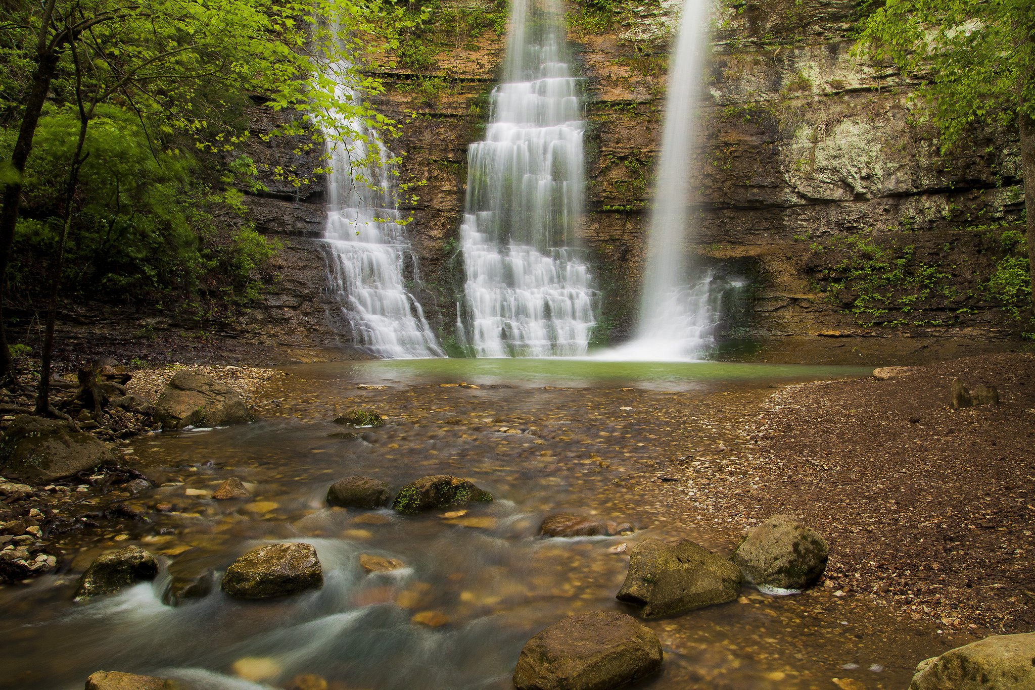 nature, Wallpaper Wallpaper