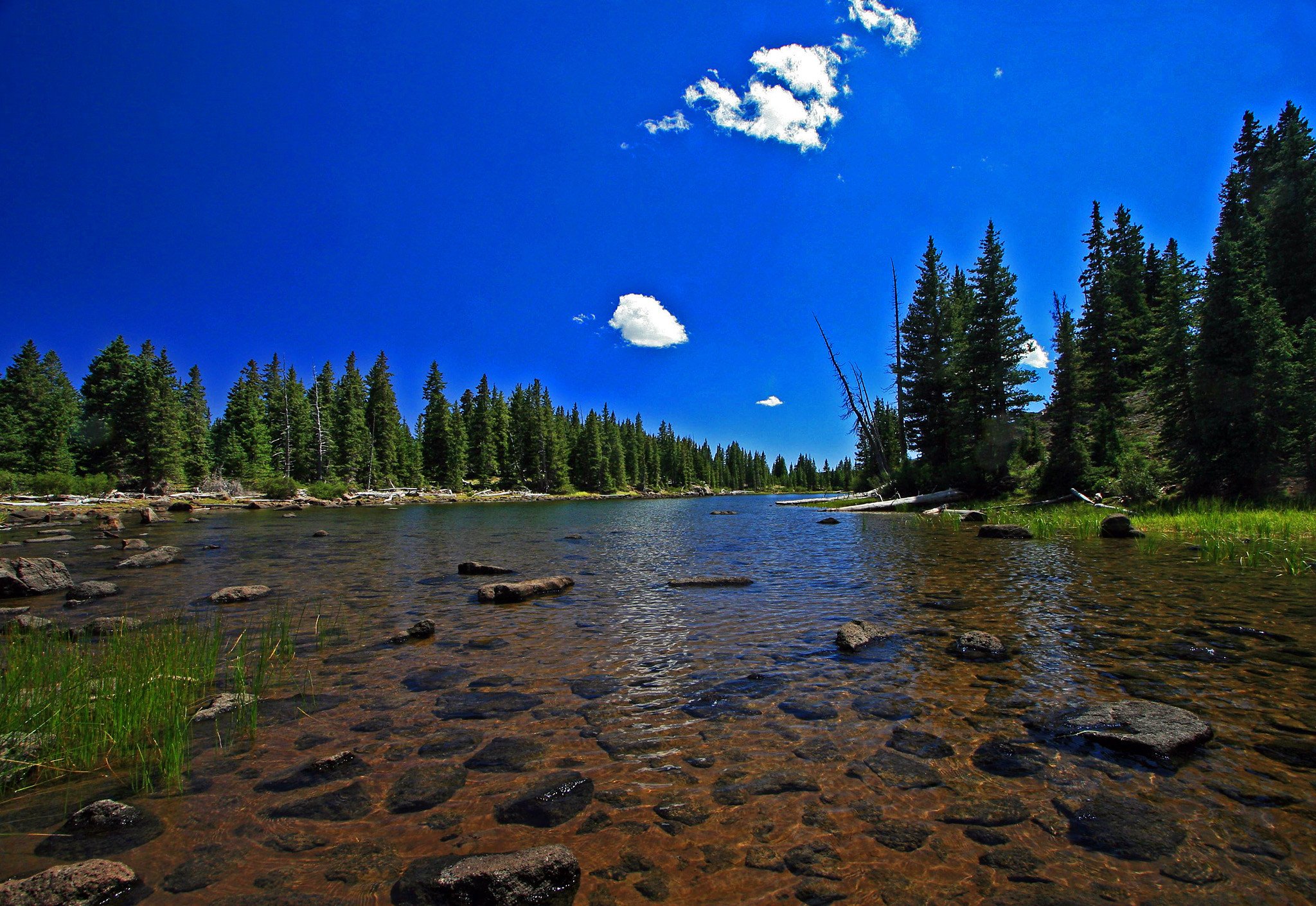 nature, Wallpaper Wallpaper