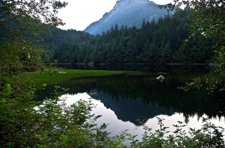 nature, Wallpaper HD Wallpaper Desktop Background