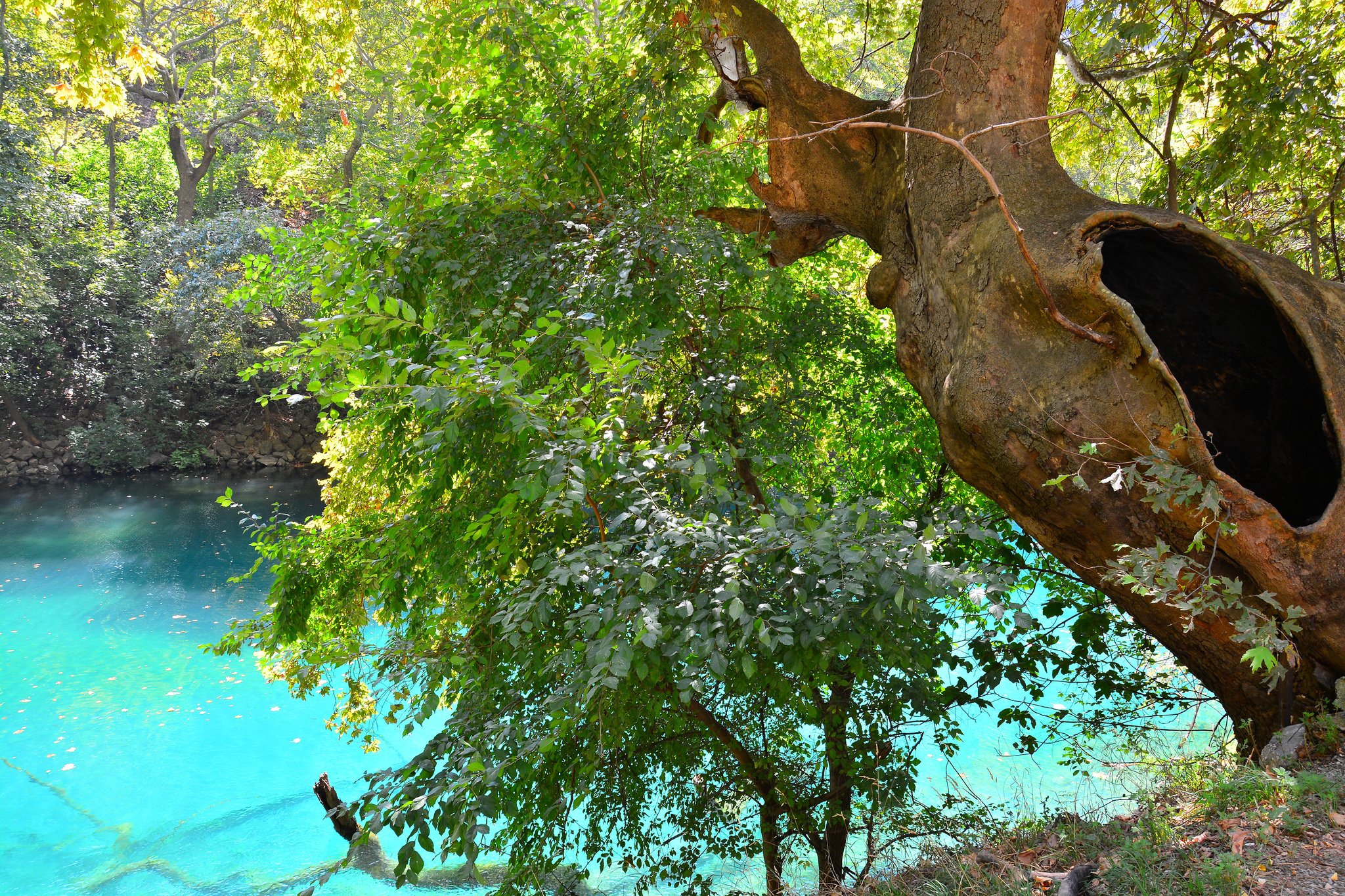 nature, Wallpaper Wallpaper