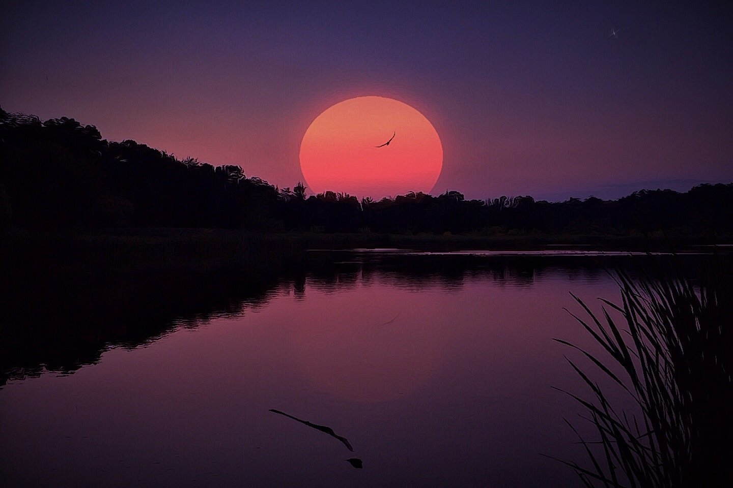 nature, Wallpaper Wallpaper