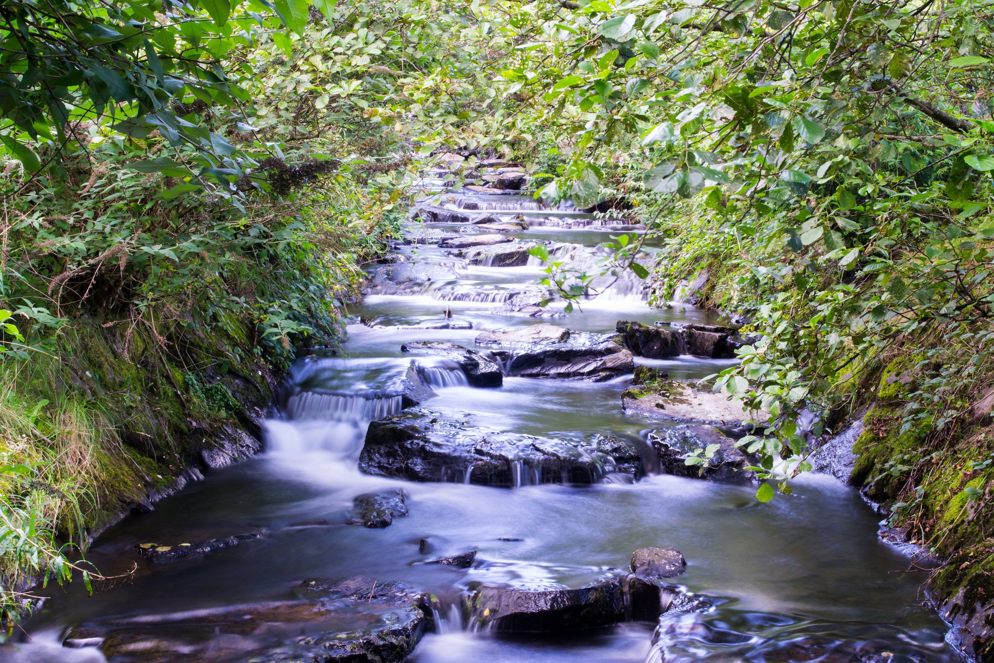 nature, Wallpaper Wallpaper