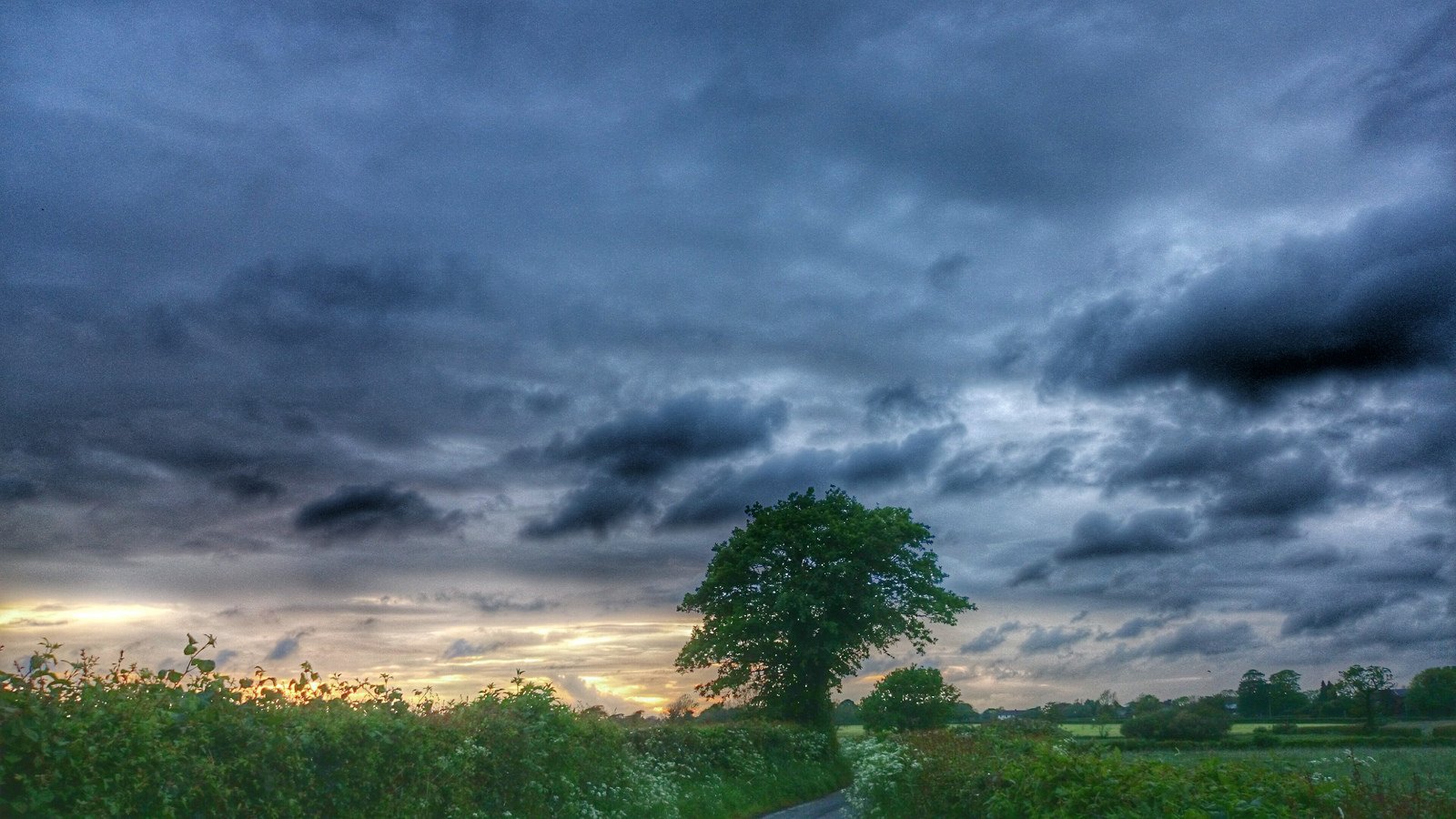 nature, Wallpaper Wallpaper