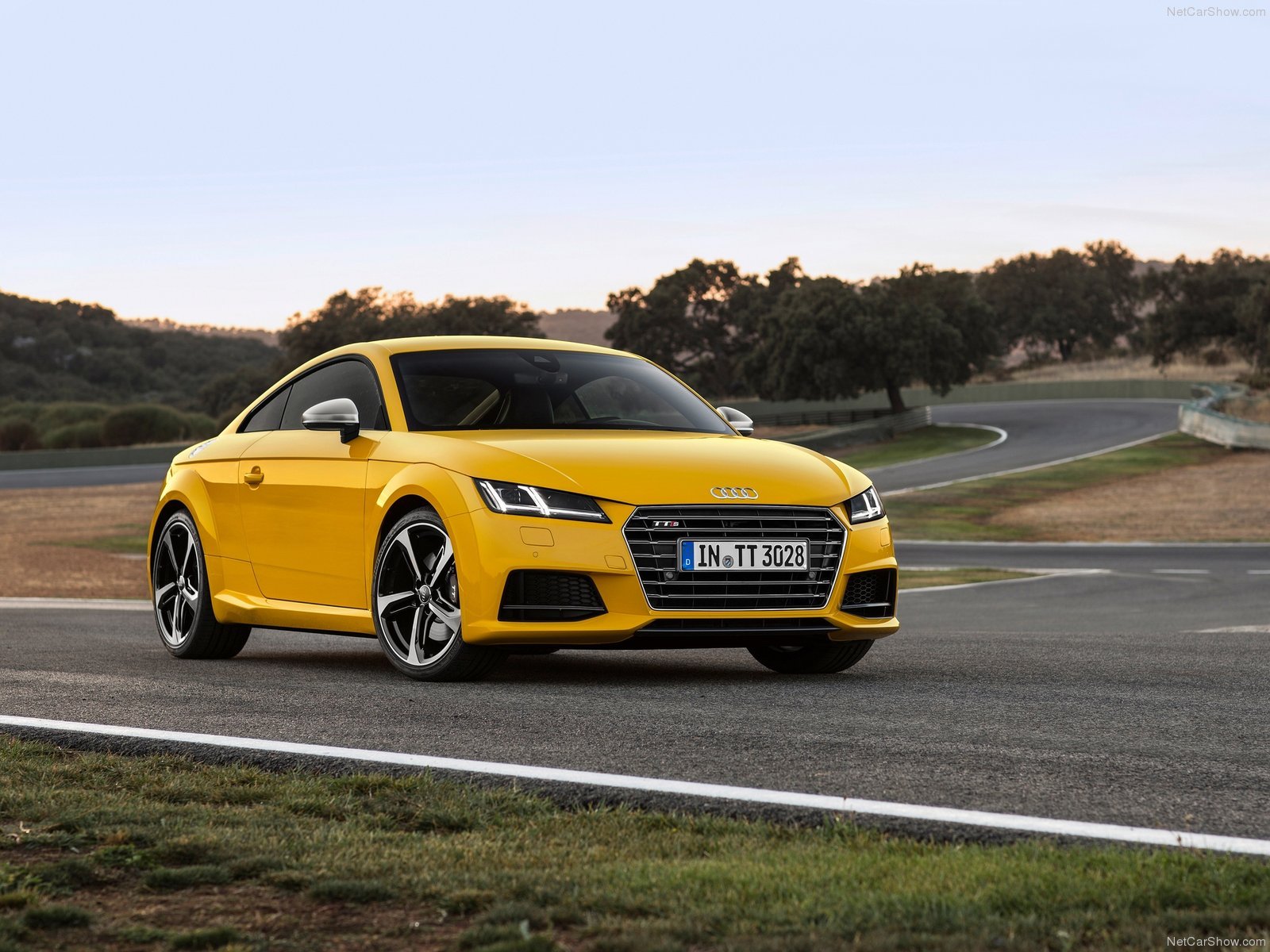 2015, Audi, Car, Coupe, Germany, Yellow, Sport, Sportcar, Supercar, Tts, Wallpaper Wallpaper