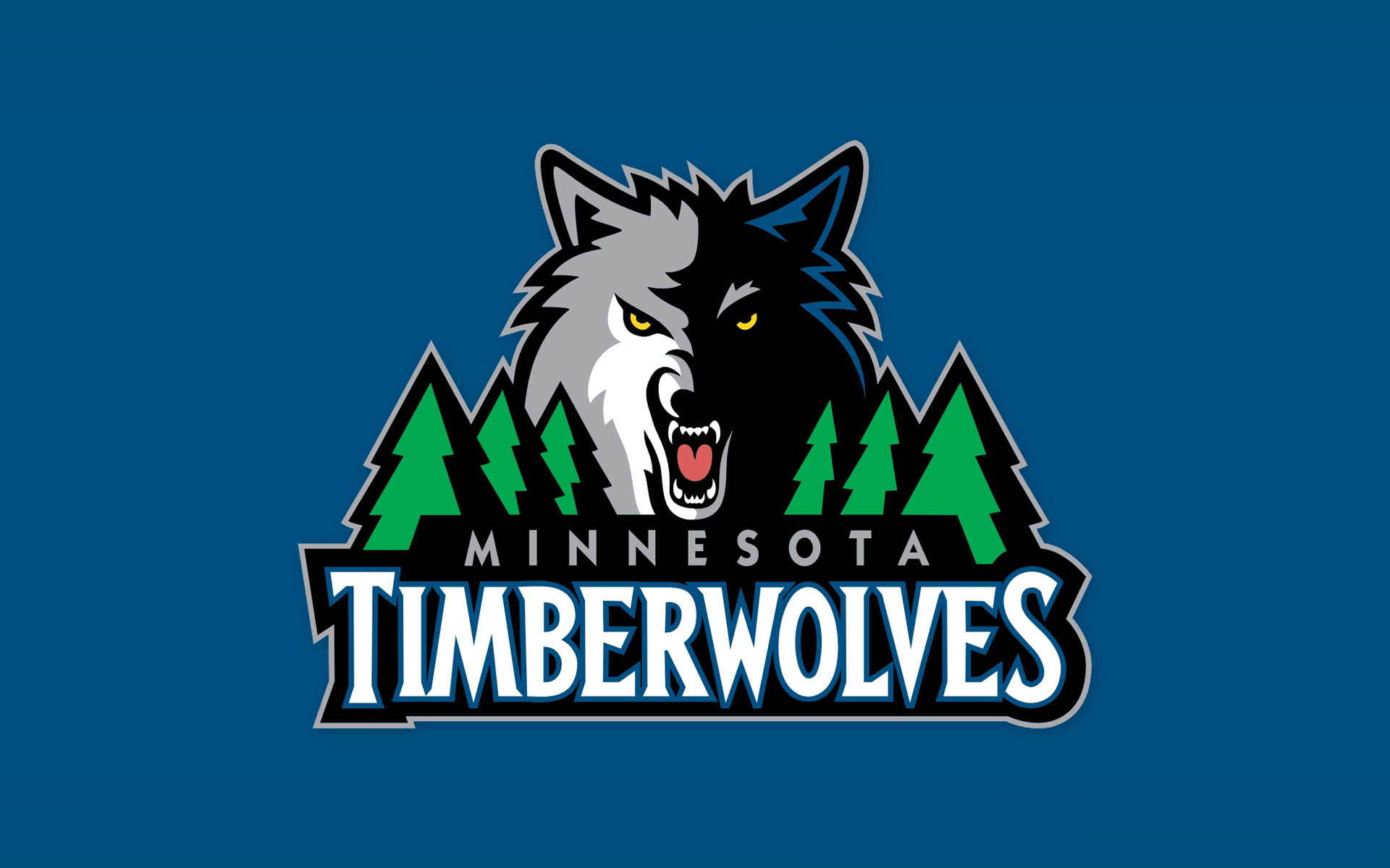 basketball, Nba, Minnesota, Timberwolves Wallpaper