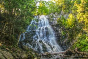 forest, Jungle, River, Rocks, Stones, Waterfalls, Canada